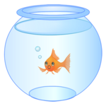a glass fish bowl