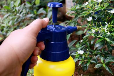 A person sprays fertilizer on flowers.