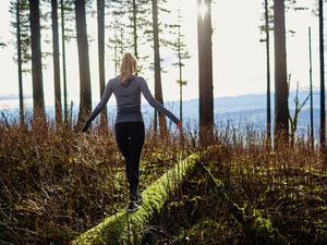 a person walking in an empty forest
