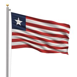 A flag with 11 red and white horizontal stripes. In the upper-left-hand corner, there is a blue rectangle. On the rectangle, there is one large white star.