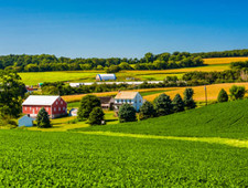There are many fields around a house and a barn. Different plants are growing in the fields and there are many trees in the background.