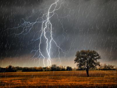 Dark clouds,  lightning, and rain over a field.