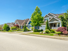 On a street, there are many houses next to each other. There are trees and bushes in the yards.