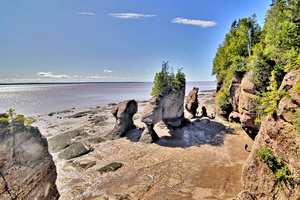 A photo of a rocky shoreline shows many exposed rocks and sandy areas. The ocean water is far from the cliffs in the foreground.
