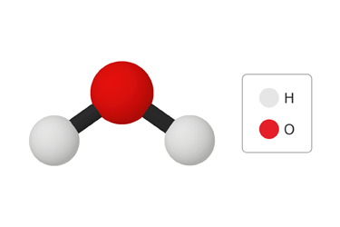 A model of a molecule containing two balls labeled H and one ball labeled O.