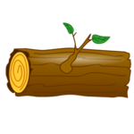 a log