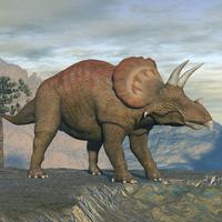 a drawing of a horned dinosaur