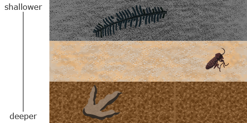 A diagram with three rock layers, with the deepest layer at the bottom and the shallowest layer at the top of the diagram. A rock layer with a dinosaur footprint is below a layer with an insect, which is below a layer with a fern.