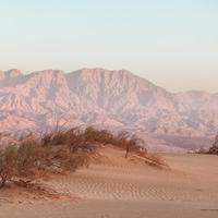 A picture of sediment deposited in a desert.