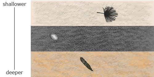 A diagram with three rock layers, with the deepest layer at the bottom and the shallowest layer at the top of the diagram. A rock layer with a feather is below a layer with a crocodile egg, which is below a layer with a palm leaf.