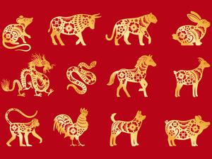 a drawing of the twelve animals of the Chinese calendar. The animals are Rat, Ox, Tiger, Rabbit, Dragon, Snake, Horse, Sheep, Monkey, Rooster, Dog, and Pig.